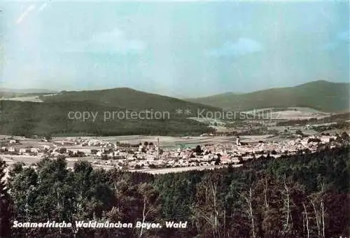 AK / Ansichtskarte Waldmuenchen Panorama Sommerfrische
