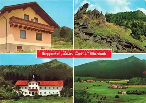AK / Ansichtskarte Silbersbach Berggasthof zum Osser Landschaftspanorama