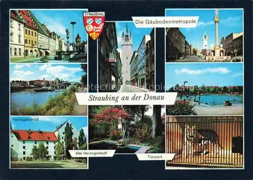 AK / Ansichtskarte Straubing Teilansichten Gaeubodenmetropole Schloss Tierpark Freibad
