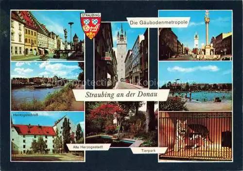 AK / Ansichtskarte Straubing Teilansichten Gaeubodenmetropole Donau Stadtturm Dreifaltigkeitssaeule Schloss Tierpark