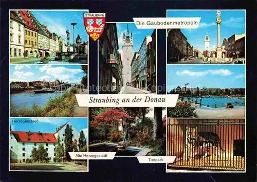 AK / Ansichtskarte Straubing Ludwigsplatz Brunnen Stadtturm Freibad Donau Schloss Tierpark
