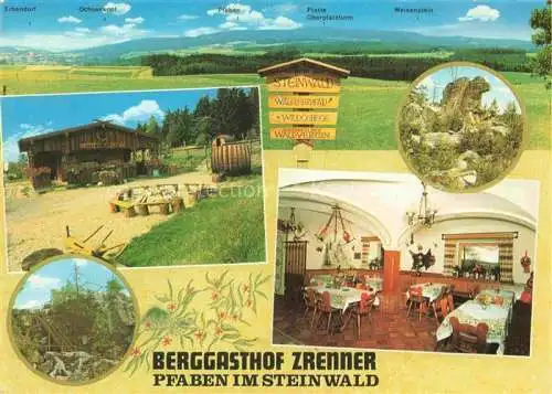 AK / Ansichtskarte Pfaben Steinwald Erbendorf Bayern Landschaftspanorama Berggasthof Zrenner Gastraum Felsen