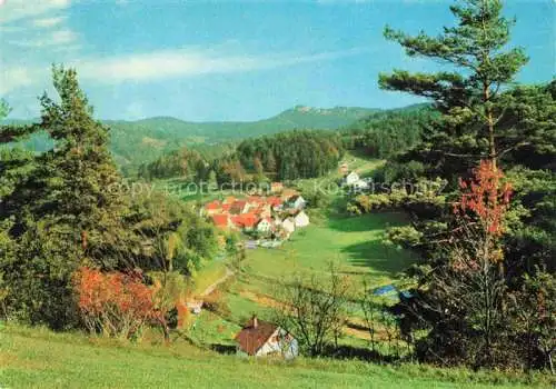 AK / Ansichtskarte Hirschbach Frankenalb Oberpfalz Panorama