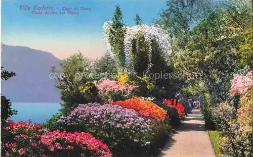 AK / Ansichtskarte COMO  Lago di Como Lombardia IT Villa Carlotta viale diritto nel parco