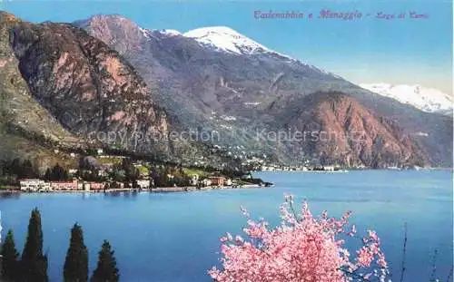 AK / Ansichtskarte Cadenabbia Griante Lago di Como Lombardia IT e Menaggio Lago di Como
