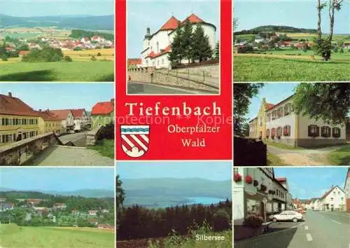 AK / Ansichtskarte Tiefenbach Oberpfalz Teilansichten Haupstrasse Landschaft Silbersee Schloss