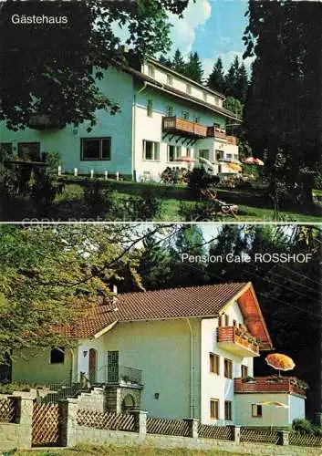 AK / Ansichtskarte Geigant Waldmuenchen Cham Bayern Hotel Pension Café Rosshof Gaestehaus