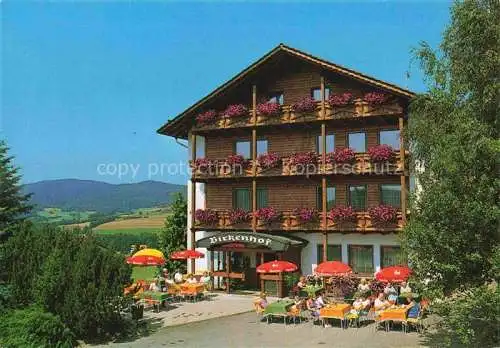 AK / Ansichtskarte Grafenwiesen Cham Bayern Hotel Pension Birkenhof Terrasse