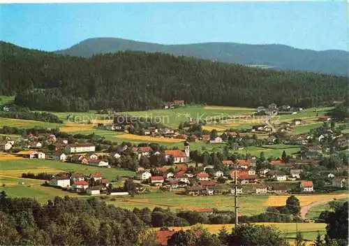 AK / Ansichtskarte Grafenwiesen Cham Bayern Panorama