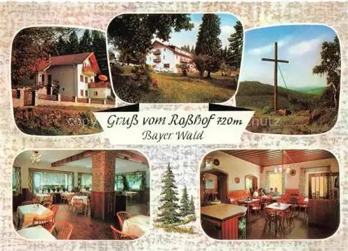 AK / Ansichtskarte Geigant Waldmuenchen Cham Bayern Hotel Pension Café Rosshof Gastraeume Gipfelkreuz