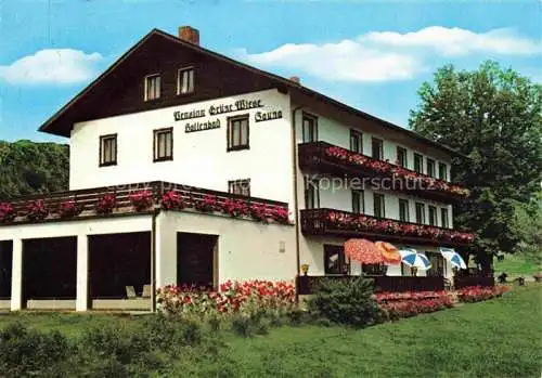 AK / Ansichtskarte Lohberg Lam Gasthof Pension Gruene Wiese