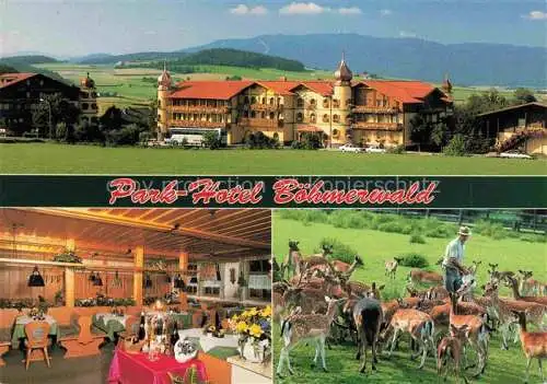 AK / Ansichtskarte Warzenried Parkhotel Boehmerwald Restaurant Wildfuetterung