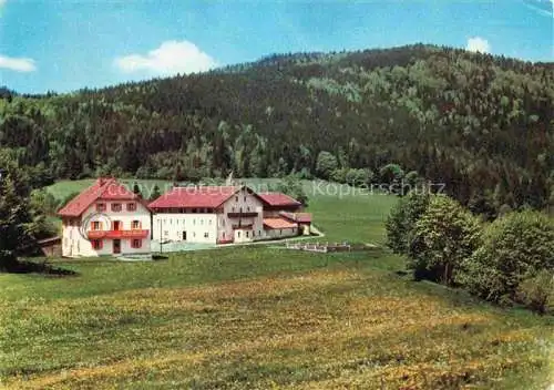 AK / Ansichtskarte Arrach Berggasthof Pension Eck Bayerischer Wald