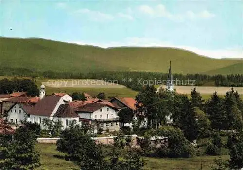 AK / Ansichtskarte Lohberg Lam Ortsansicht mit Kirche Hotel Gasthof Spaeth-Braeu