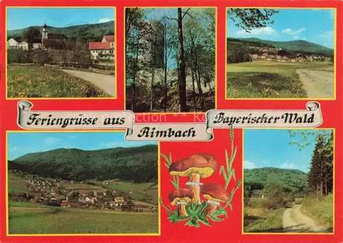 AK / Ansichtskarte Rimbach Bayrischer Wald Panorama Erholungsort am Hohenbogen Burgruine
