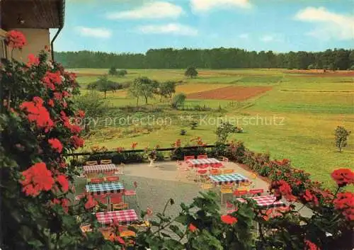 AK / Ansichtskarte Braeuningshof Gasthof Fischkueche Terrasse Landschaft