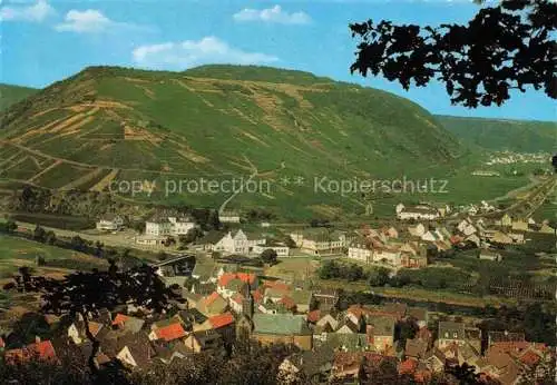 AK / Ansichtskarte Rech Ahr Panorama Haus Appel Hotel und Weingut