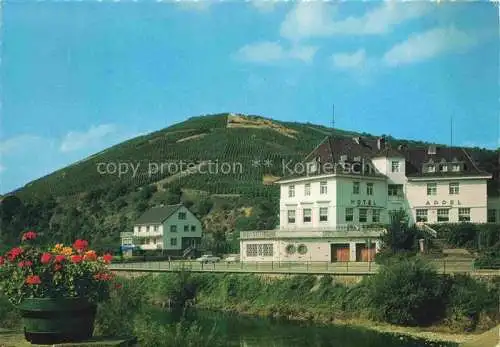 AK / Ansichtskarte Rech Ahr Haus Appel Hotel Weingut