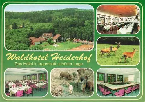 AK / Ansichtskarte Obersteinebach Waldhotel Heiderhof Gastraeume Wildschweine Rehwild