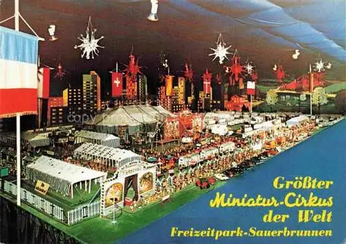 AK / Ansichtskarte Sauerbrunnen Hunsrueck Freizeitpark Miniatur Cirkus