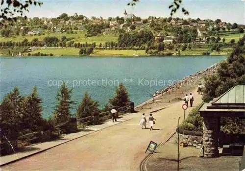 AK / Ansichtskarte Langscheid Sorpesee Partie am Sorpesee