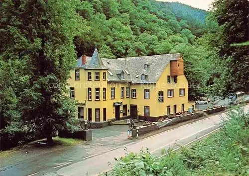 AK / Ansichtskarte Mayen Eifel Hotel Restaurant Hammesmuehle