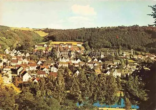 AK / Ansichtskarte Waldbreitbach Wied Panorama