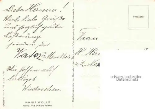 AK / Ansichtskarte ROLLE Marie Kuenstlerkarte Arve mit Heidekraut