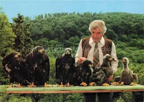 AK / Ansichtskarte Geier Vulture Vautour Buitre Deutsche Greifenwarte Burg Guttenberg Claus Fentzloff