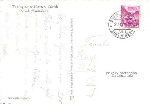 AK / Ansichtskarte Zoo Gardin Zoologique-- Sennek Wuestenfuchs Zuerich 