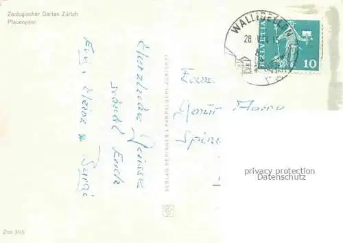 AK / Ansichtskarte Zoo Gardin Zoologique-- Zuerich Pfauenpaar 