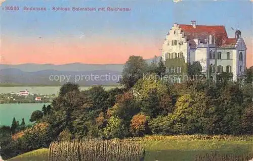 AK / Ansichtskarte Salenstein_TG Schloss Salenstein mit Reichenau und Bodensee Salenstein_TG