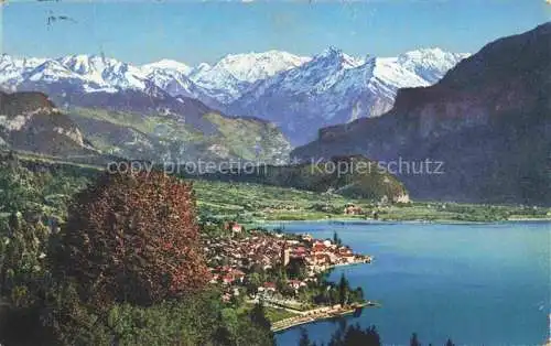 AK / Ansichtskarte Brienz_Brienzersee_BE Panorama mit Hasliberge 