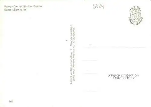 AK / Ansichtskarte Kamp-Bornhofen Rhein Rheinpartien Die feindlichen Brueder Fliegeraufnahmen