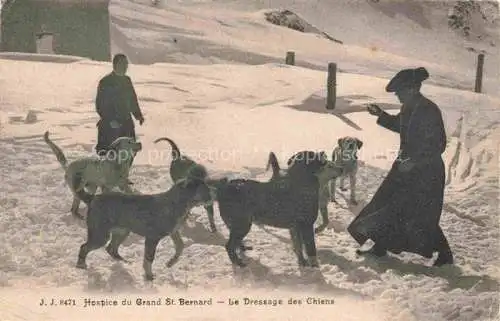 AK / Ansichtskarte Bernhardiner Hunde dogs chiens Grand St. Bernard 