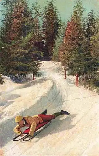 AK / Ansichtskarte Wintersport Schlitten Tannenbaum