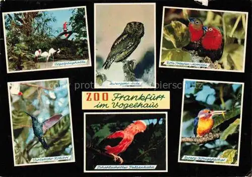 AK / Ansichtskarte Zoo Gardin Zoologique-- Frankenfurt Vogelhaus 