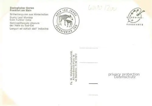 AK / Ansichtskarte Zoo Gardin Zoologique-- Frankfurt Main Brillenlanguren Hinterindien 
