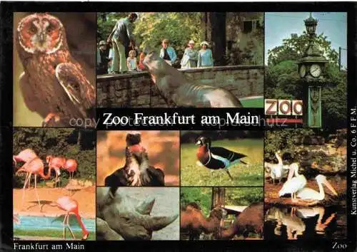 AK / Ansichtskarte Zoo Gardin Zoologique-- Frankfurt Main Flamingo Eule 