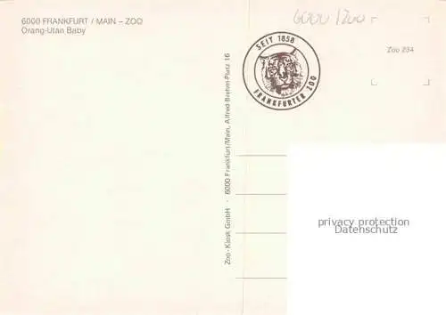 AK / Ansichtskarte Zoo Gardin Zoologique-- Frankfurt Main Orang Utan Baby Affen 
