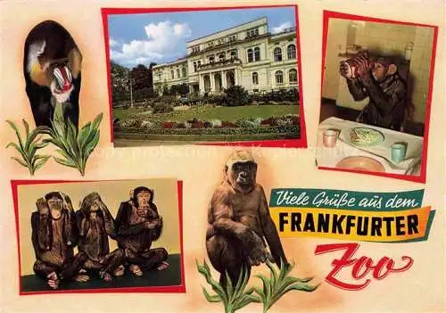 AK / Ansichtskarte Zoo Gardin Zoologique-- Frankfurt Main Affen 