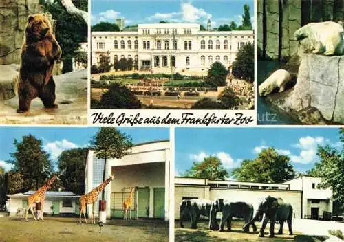 AK / Ansichtskarte Zoo Gardin Zoologique-- Frankfurt Main Giraffen Baer Elefant 