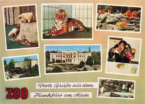 AK / Ansichtskarte Zoo Gardin Zoologique-- Frankfurt Main Tiger Loewe Eisbaer 