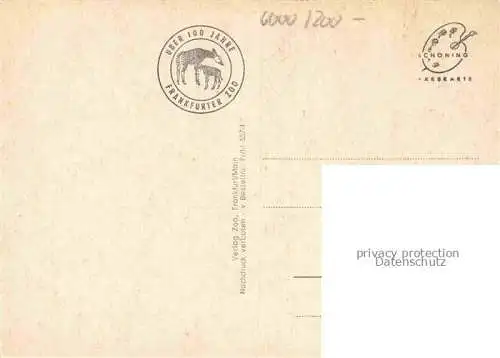 AK / Ansichtskarte Zoo Gardin Zoologique-- Frankfurt Main Tiger Loewe Eisbaer 