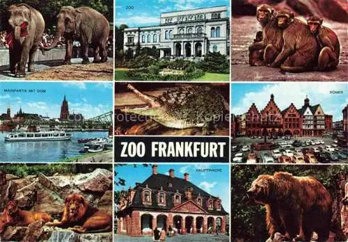 AK / Ansichtskarte Zoo Gardin Zoologique-- Frankfurt am Main Loewe Elefant Baer 