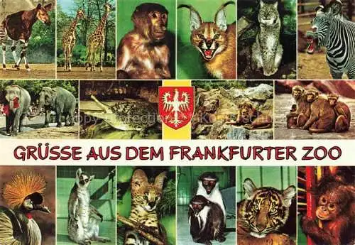 AK / Ansichtskarte Zoo Gardin Zoologique-- Frankfurt am Main Giraffen Elefanten Tiere