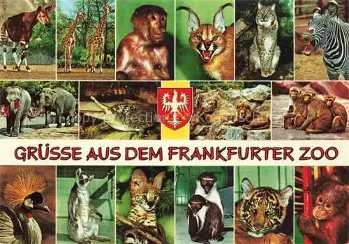 AK / Ansichtskarte Zoo Gardin Zoologique-- Frankfurt Main Tiere 