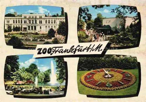 AK / Ansichtskarte Zoo Gardin Zoologique-- Frankfurt am Main 