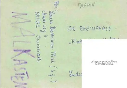 Fussball Soccer Football-- FC Kaiserslautern 