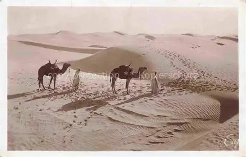 Kamele  Camel Chameau-- Scenes et Types Dune Sablesau Desert